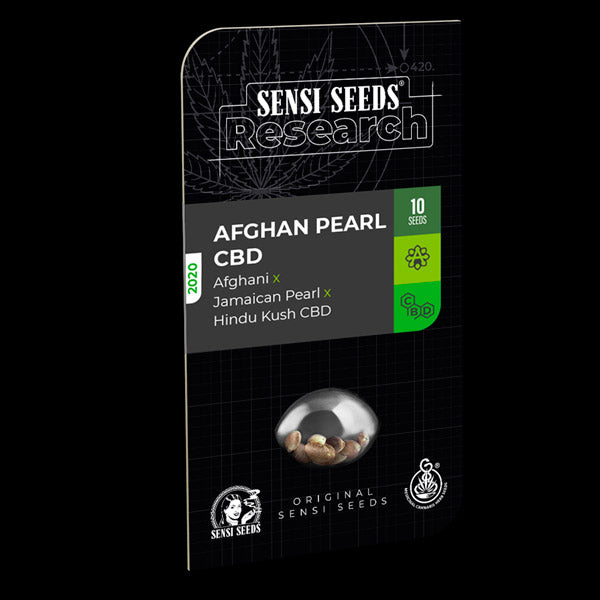 Auto Afghan Pearl CBD 3 u. fem. Sensi Seeds Research
