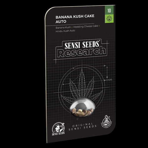 Auto Banana Kush Cake 3 u. fem. Sensi Seeds