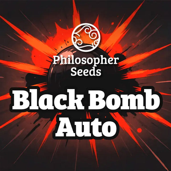 Auto Black Bomb 5 u fem Philosopher