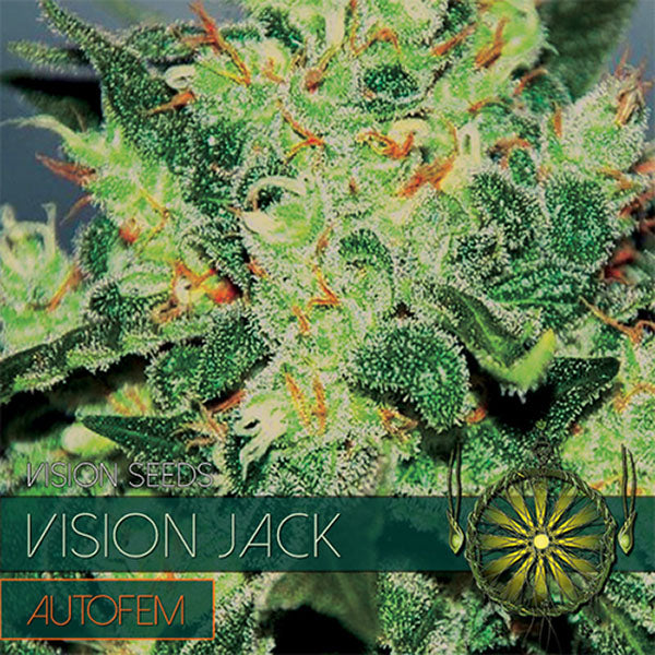 Auto Vision Jack 3+1 pc. fem. Vision Seeds