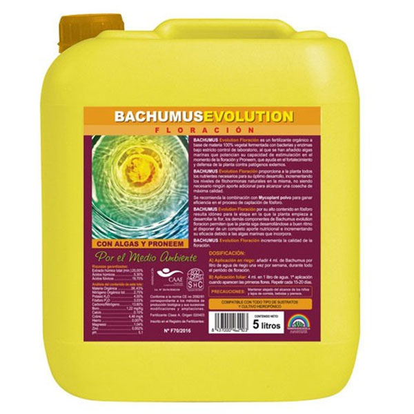 Bachumus Evolution Fioritura 5 lt. Trabe