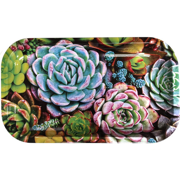Vassoio in metallo 27x16 cm. Succulente