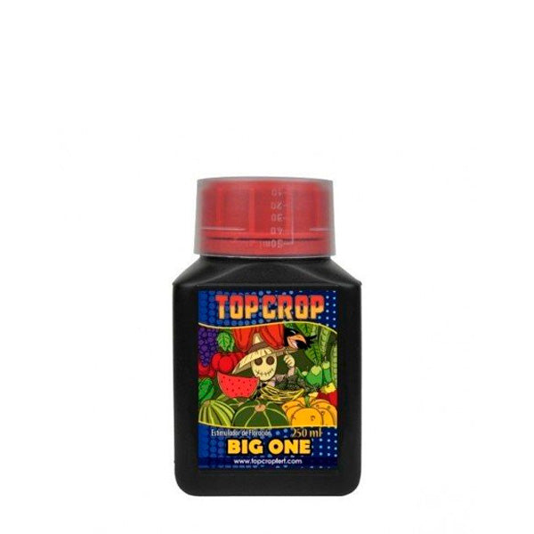 Big One 250 ml Top crop