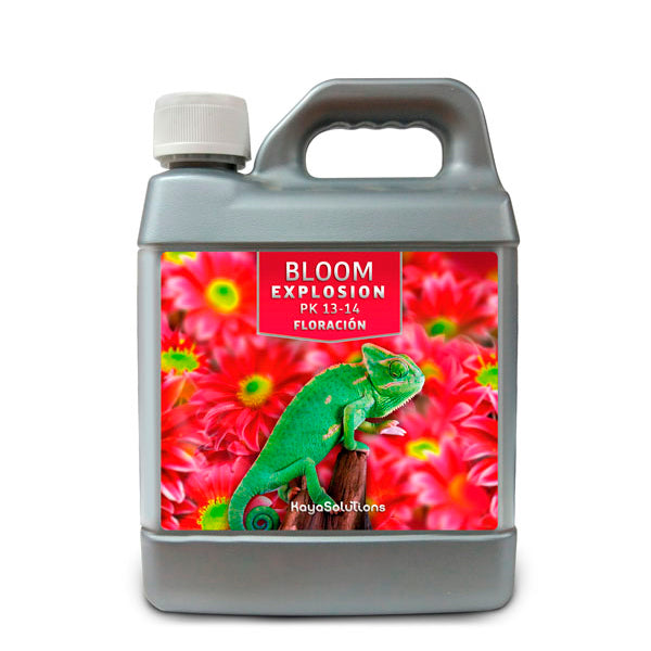 Bloom Explosion 1 lt. Kayasolutions
