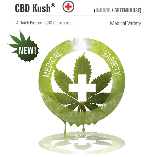 CBD Kush 10 pcs. fem. Dutch Passion