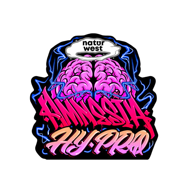 Canapa Cbd Naturwest Indoor Amnesia Hy Pro 2 gr.