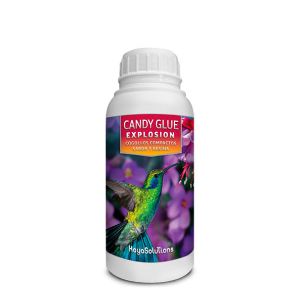 Candy Glue Explosion 250 ml. Kayasolutions