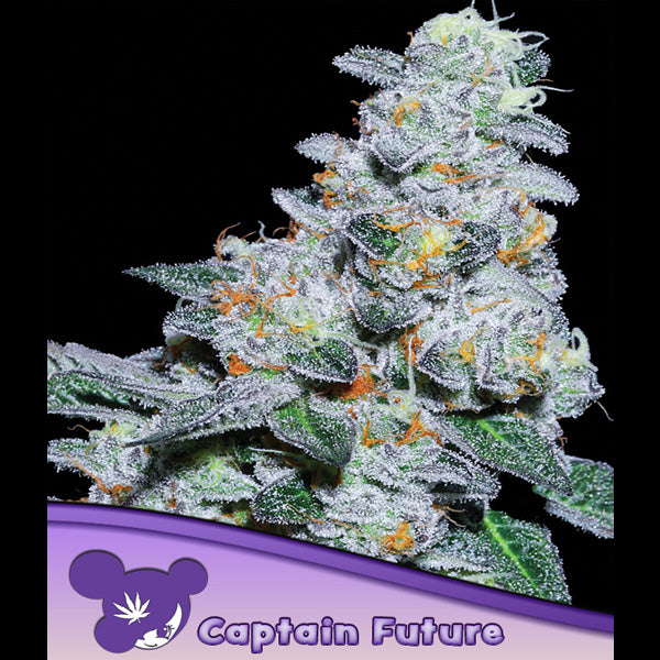 Captain Future 3 u. fem Anesia