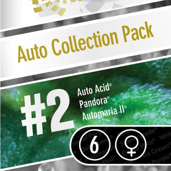 Coleccion Auto Pack#2 - 6 u. Paradise Seeds