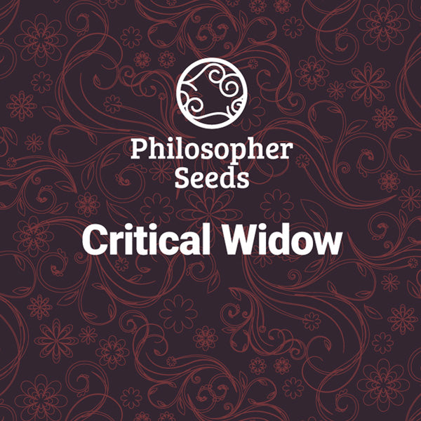 Critical Widow 5 f Philosopher