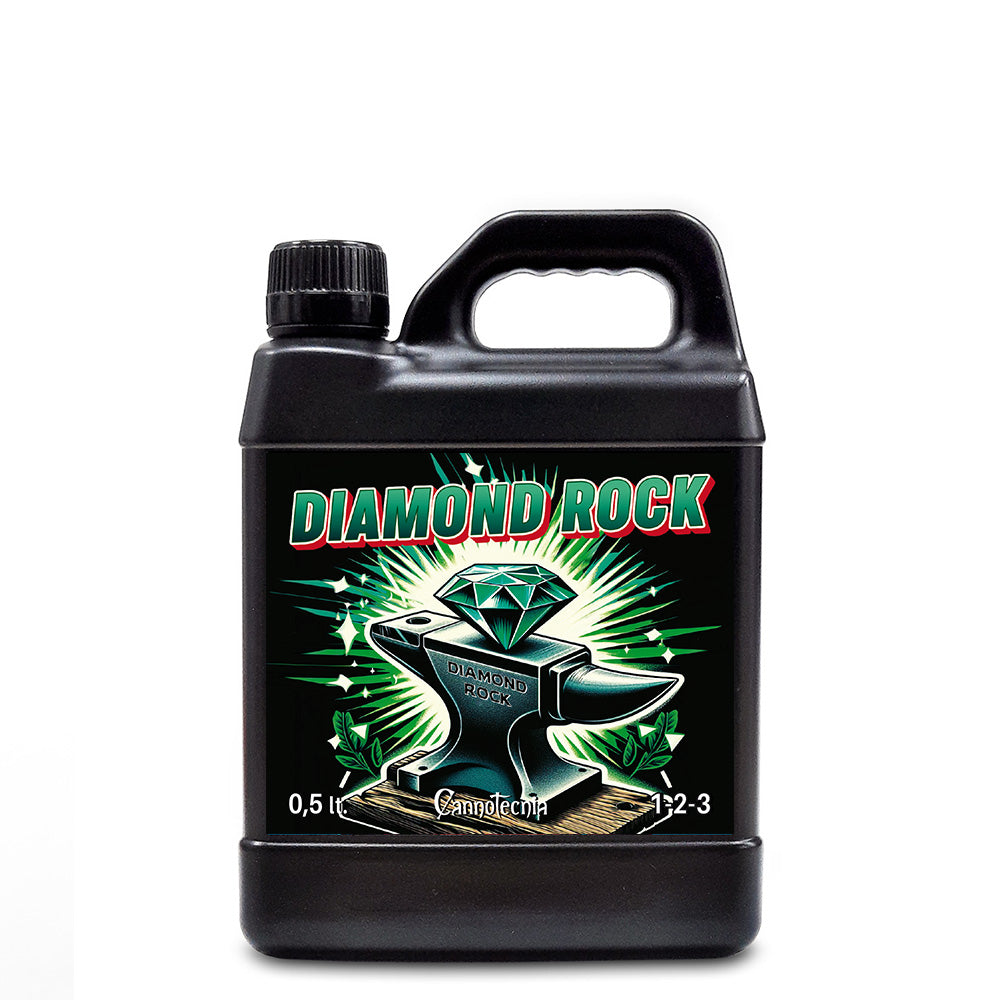 Diamond Rock 0.5 lt. Canoismo