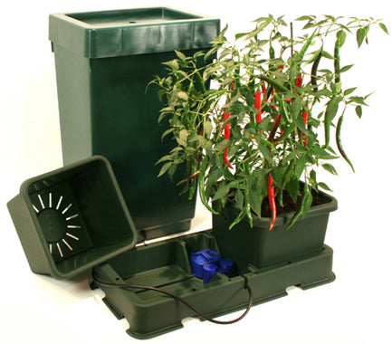 Easy2grow XL 2 - Deposito 47 lts. Green Autopot 48/72 h.