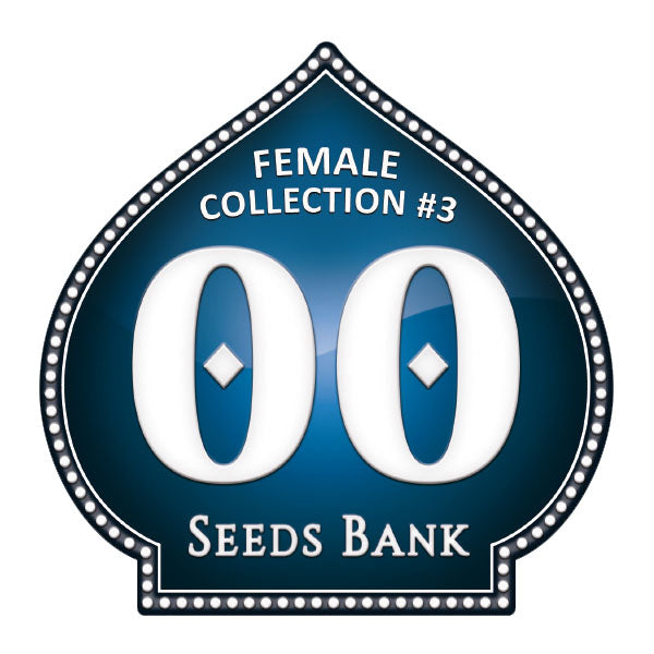 Female Collection 3 - 00 Seeds