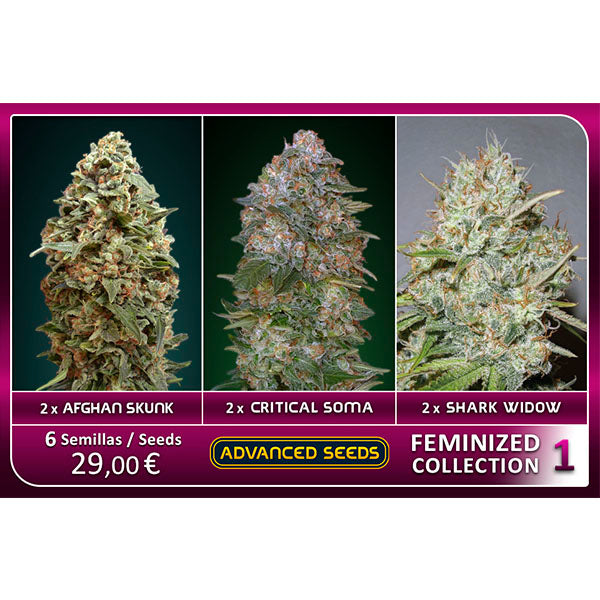 Collezione Femminizzata #1 Advanced Seeds