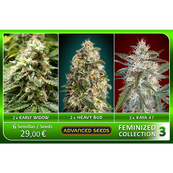 Collezione Femminizzata #3 Advanced Seeds