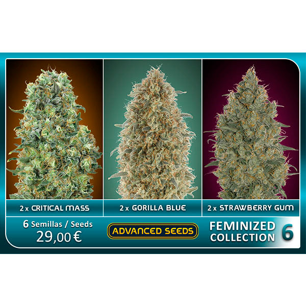 Feminized Collection #6 Advanced Seeds