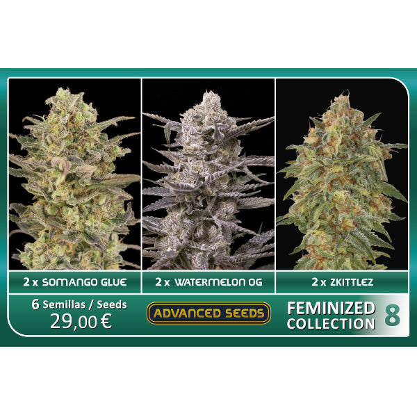 Collezione Femminizzata #8 Advanced Seeds