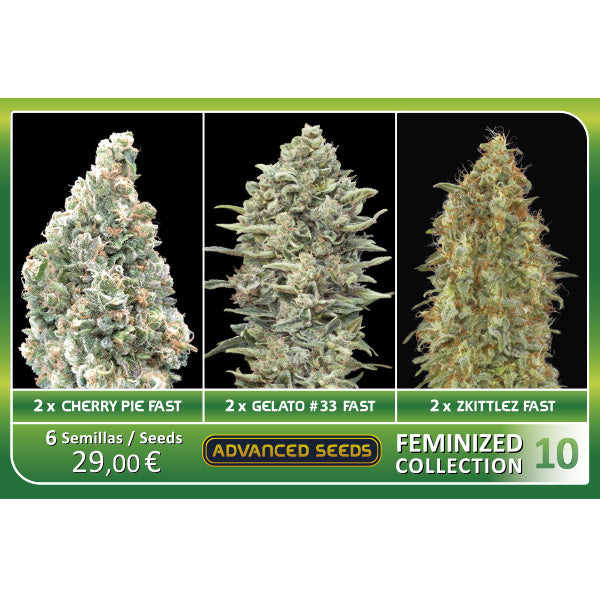Collezione Femminizzata n. 10 Advanced Seeds