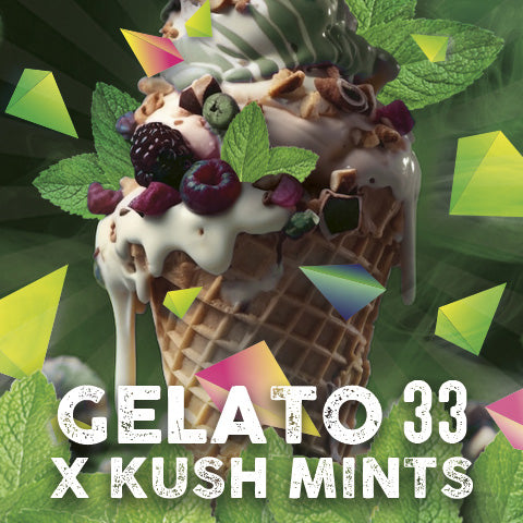 Gelato Mints 5 u. fem. Tramuntana Seeds