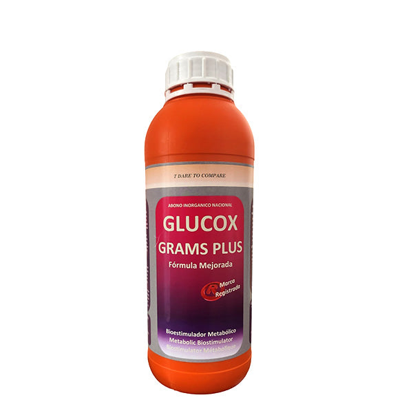 Glucox Grams Plus 1 l