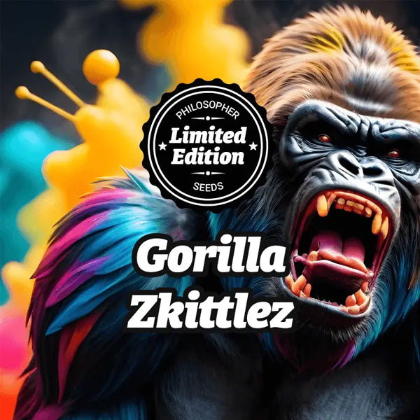 Gorilla Zkittlez 5 u fem Philosopher