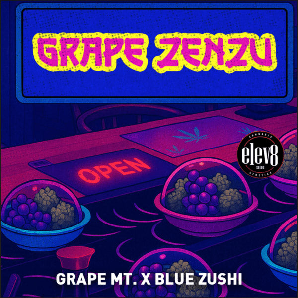 Grape Zenzu 3 ud. fem Elev8 Seeds