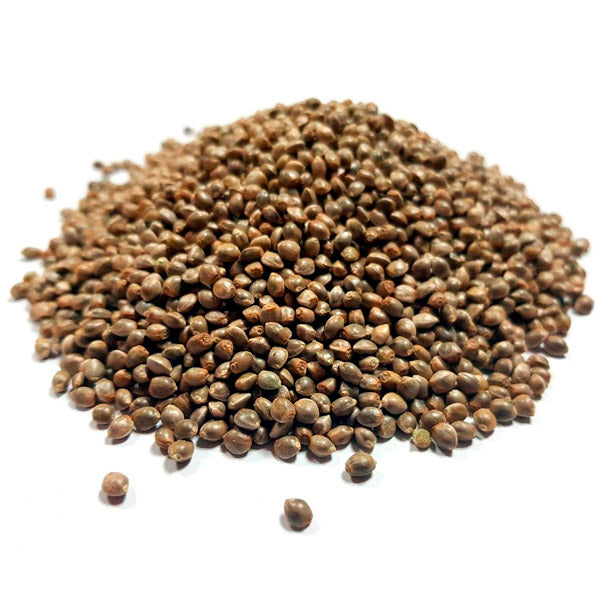 Hash Plant Bulk 100 units