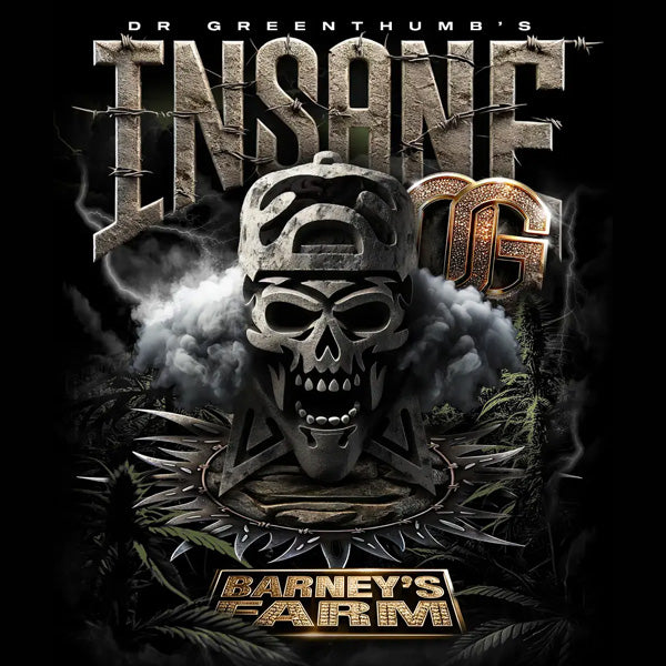 Insane OG 10 u. fem. Barney's