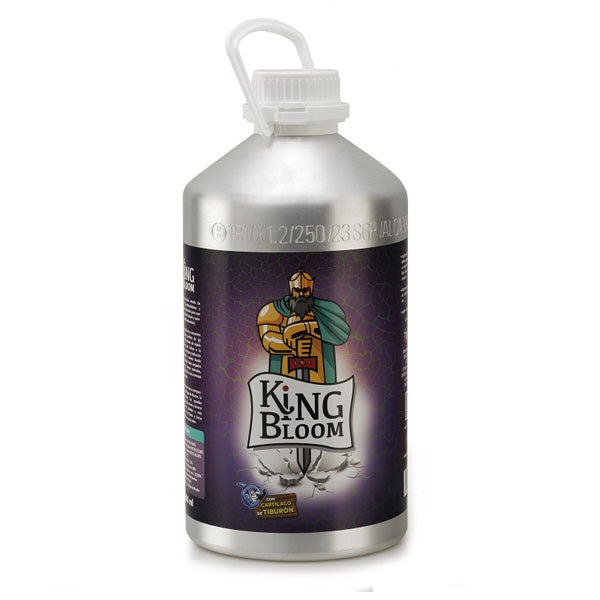 King Bloom 5.5 lt. Trabe