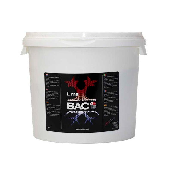 Calce/Gesso 5 Kg. BAC