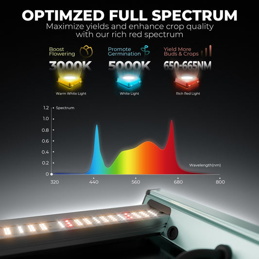 LED Mars Hydro FC-6500 EVO 730W Samsung