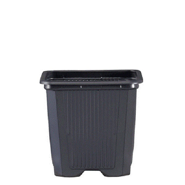 Vaso Quadrato Nero / Grigio 9 x 9 x 10 cm. 0.6 lt. - 50 pz.