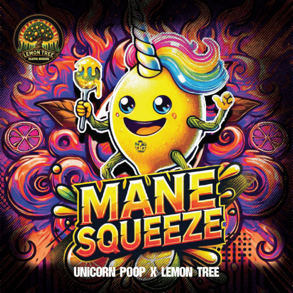 Mane Squeeze 6 ud. fem Elev8 Seeds