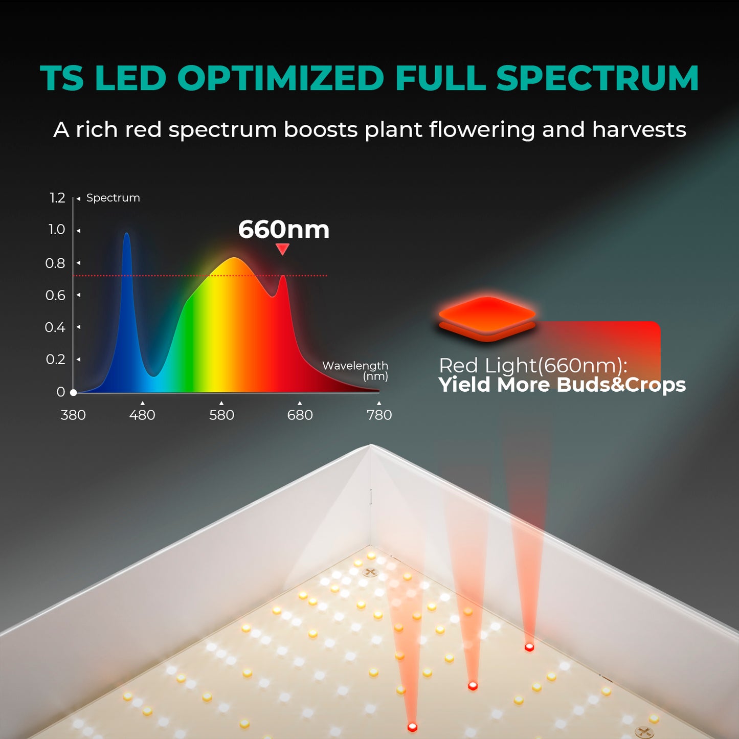 LED Mars Hydro TS 1000