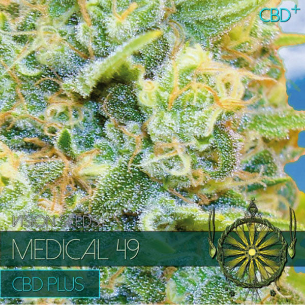Medical 49 CBD+ 3+1 fem. units Vision Seeds