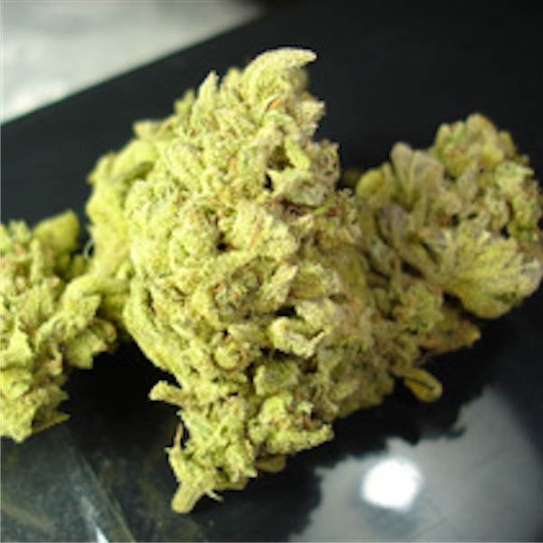 No Name 3 u. Medical Seeds