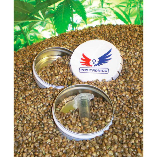 Pack Colecciónista Express 6 u. fem. Positronics Seeds