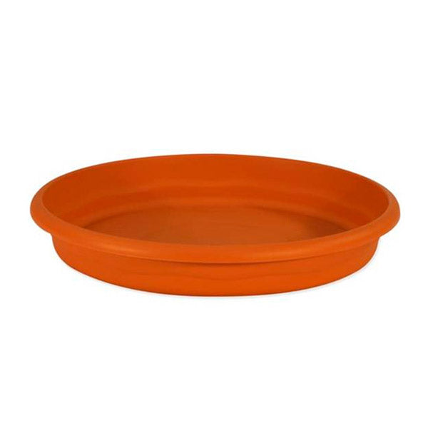 Round Plate 25 cm. Economy