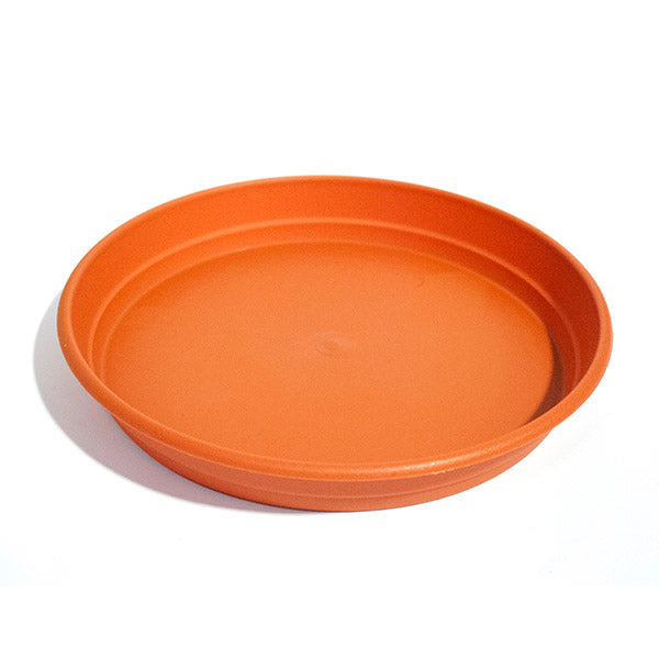 Piatto Rotondo 30 cm.