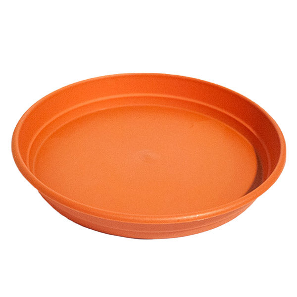 Piatto Tondo 34 cm.