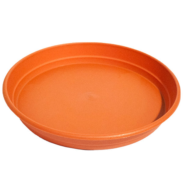Piatto rotondo 44 cm.