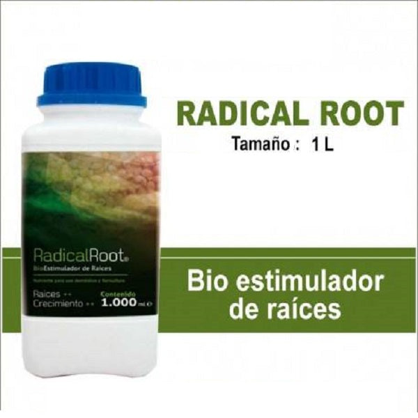 Radical Root 1 l. Trabe