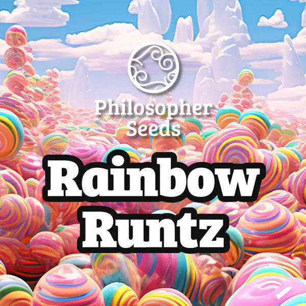 Rainbow Runtz 3 f. Philosopher