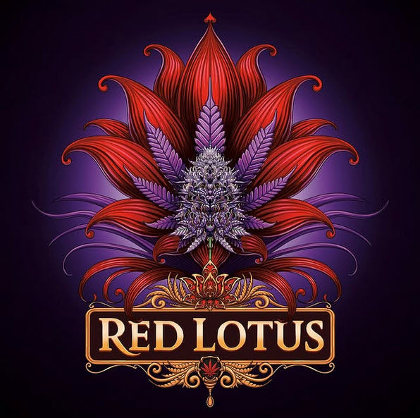 Red Lotus 7 u. fem Conscious Genetics