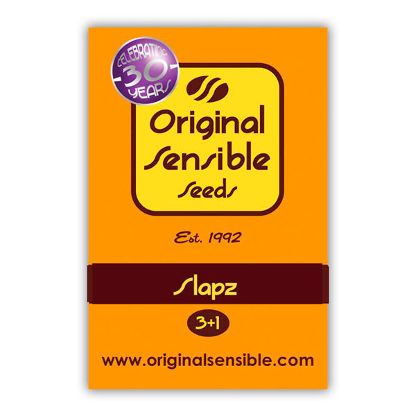 Slapz 3 u. fem. Original Sensible