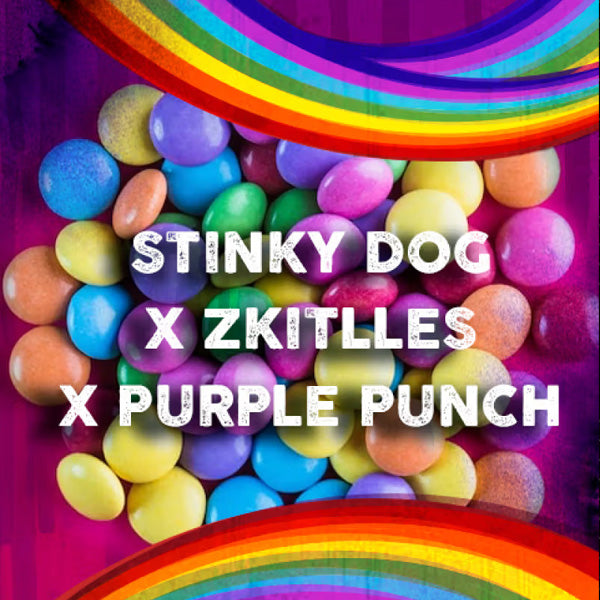 Stinky Dog x Zkittles 5 u. fem. Tramuntana Seeds
