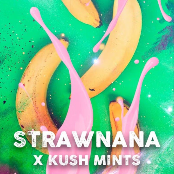 Strawnana Mints 5 u. fem. Tramuntana Seeds