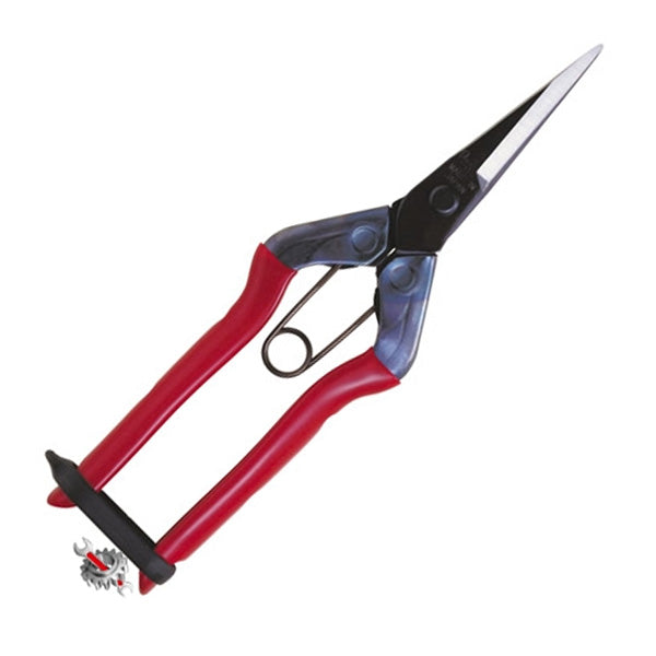 Forbice Chikamasa T-552 Punta Dritta