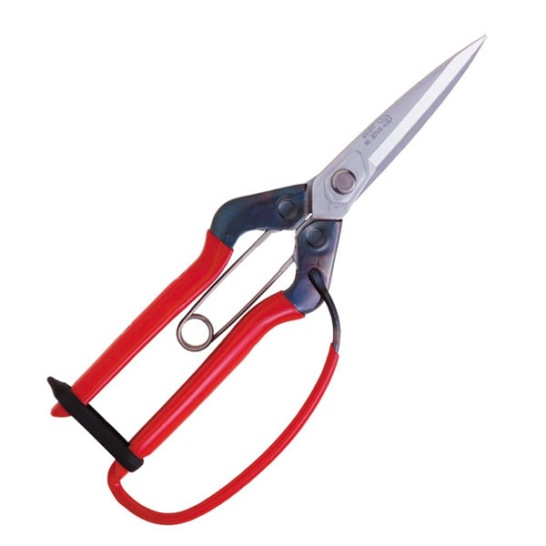 Forbici Chikamasa T-710 GDX Punta Dritta