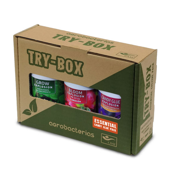 TryBox Essential Candy Glue Pack Agrobacteria